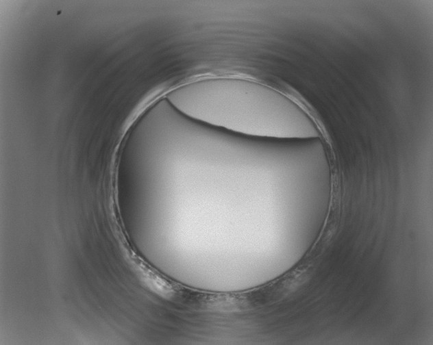 X0000081281002200701110929