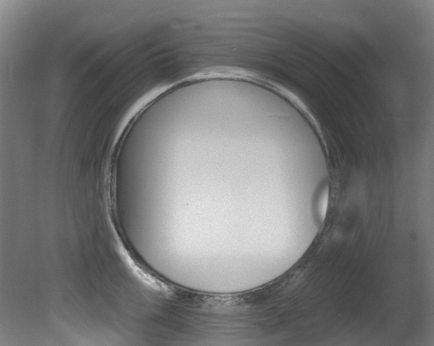 X0000081281003200701110929