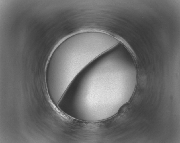 X0000081281004200701110929