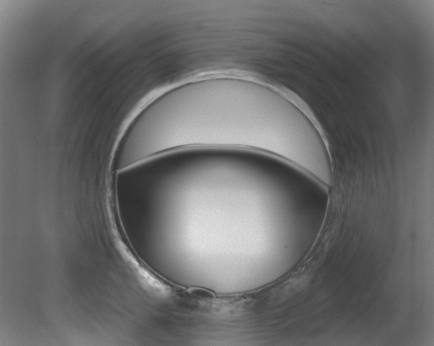 X0000081281005200701110929