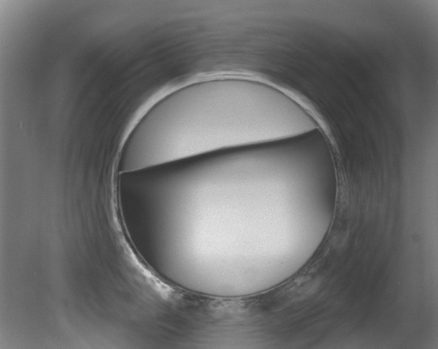 X0000081281006200701110929