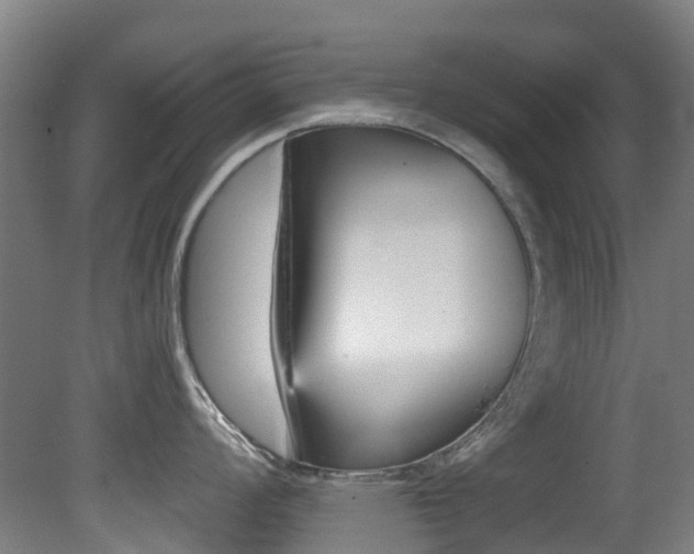 X0000081281008200701110929