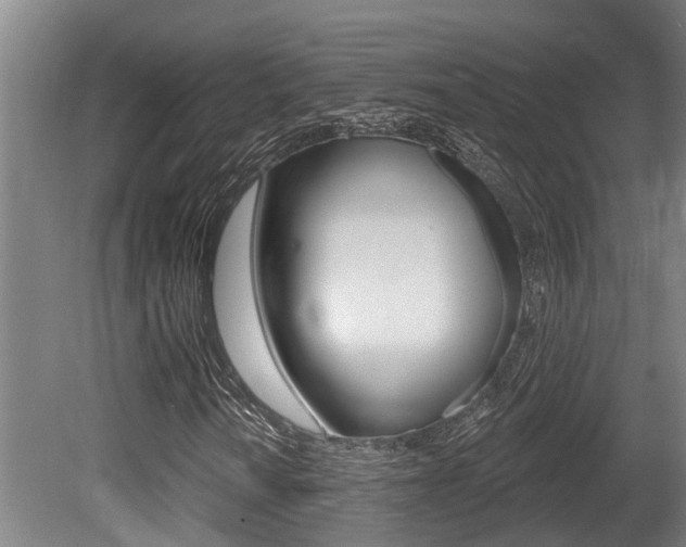X0000081281010200701110928