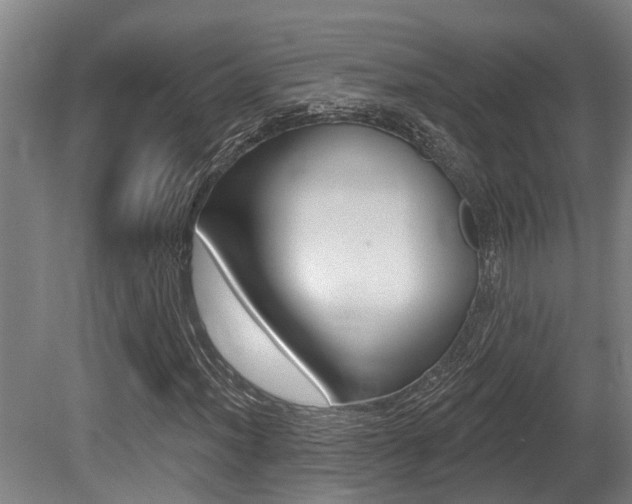 X0000081281012200701110928