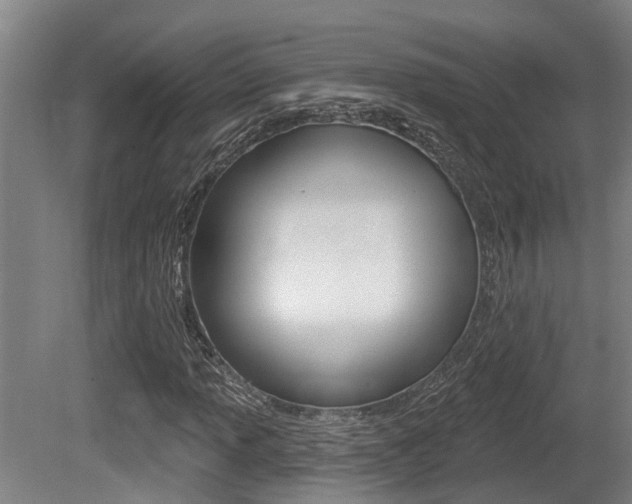 X0000081281013200701110928