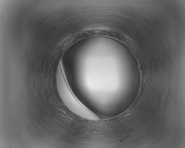 X0000081281014200701110928