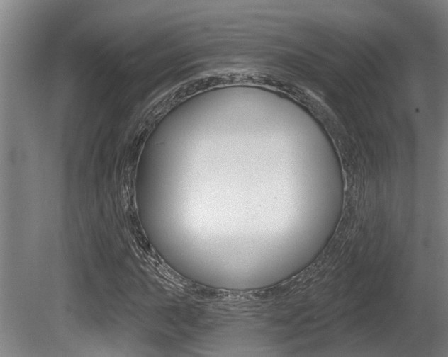 X0000081281015200701110928