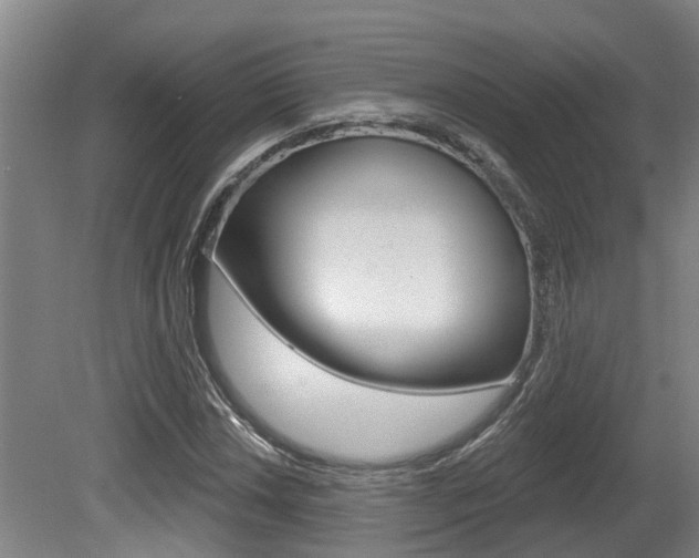 X0000081281018200701110928