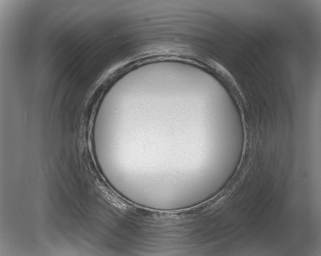 X0000081281019200701110928