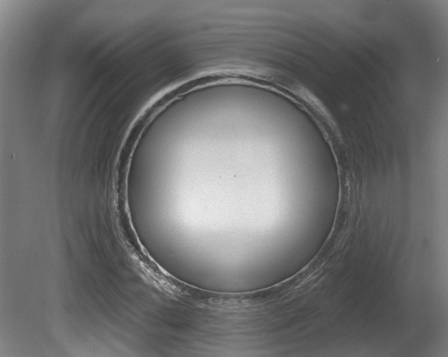 X0000081281020200701110928