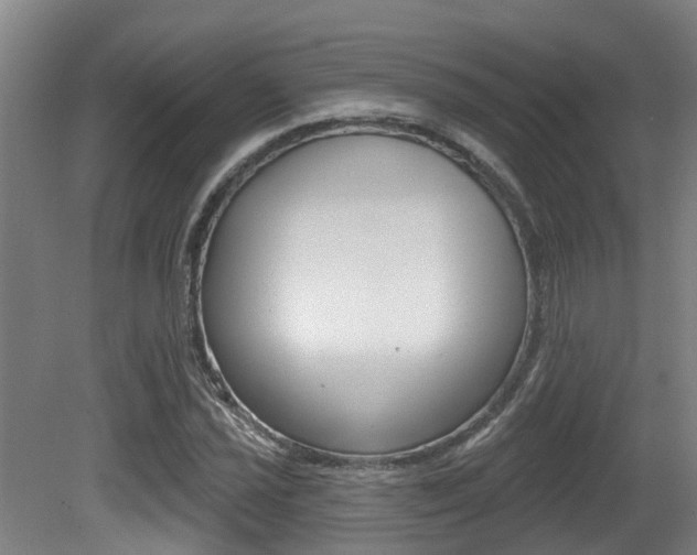 X0000081281021200701110928