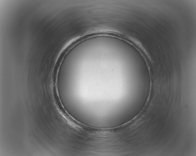 X0000081281024200701110928