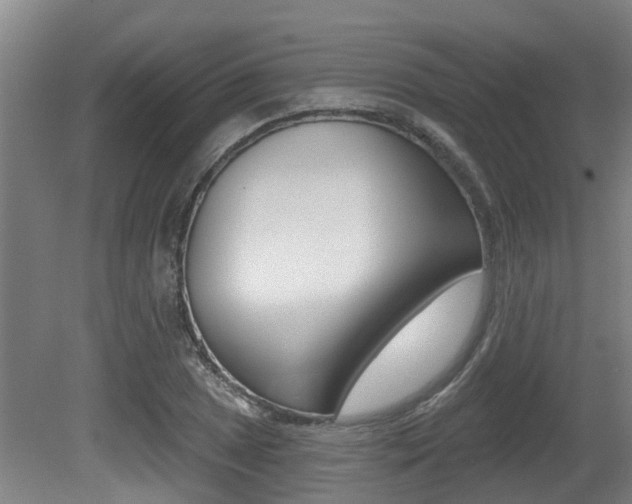 X0000081281025200701110928
