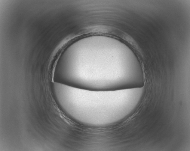 X0000081281027200701110928