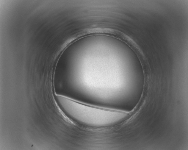 X0000081281033200701110928