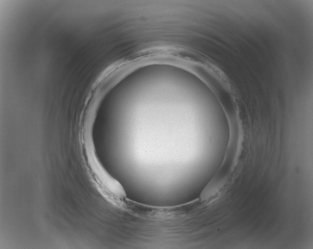 X0000081281034200701110928