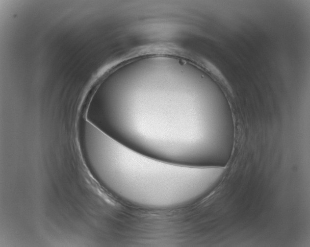 X0000081281035200701110928