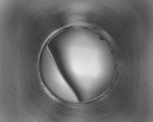 X0000081281036200701110928