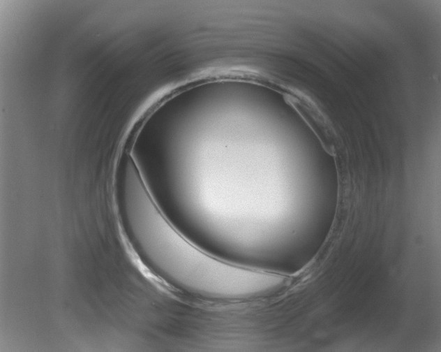X0000081281038200701110929