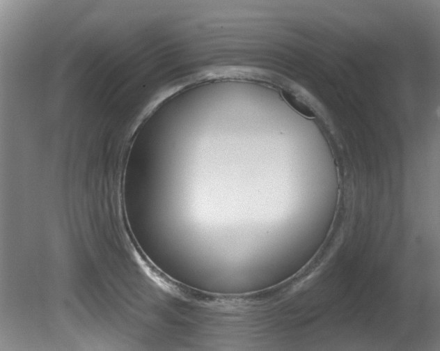 X0000081281041200701110929