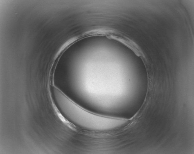 X0000081281042200701110929
