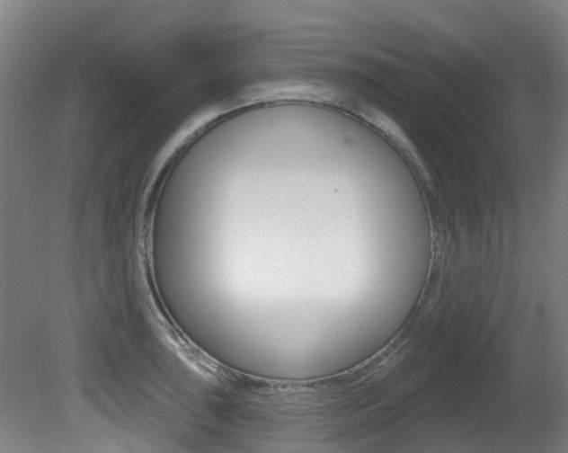 X0000081281043200701110929