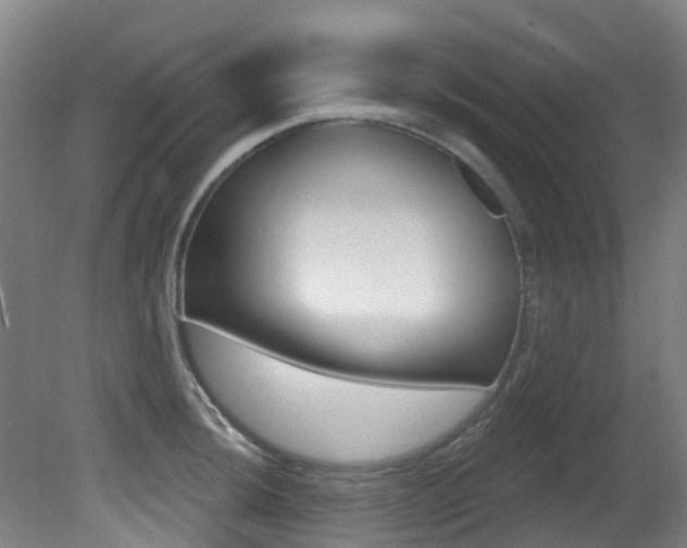 X0000081281044200701110929