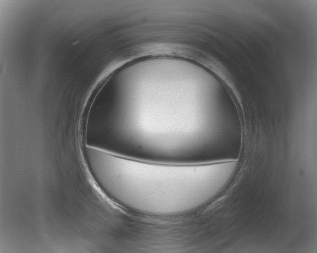 X0000081281045200701110929