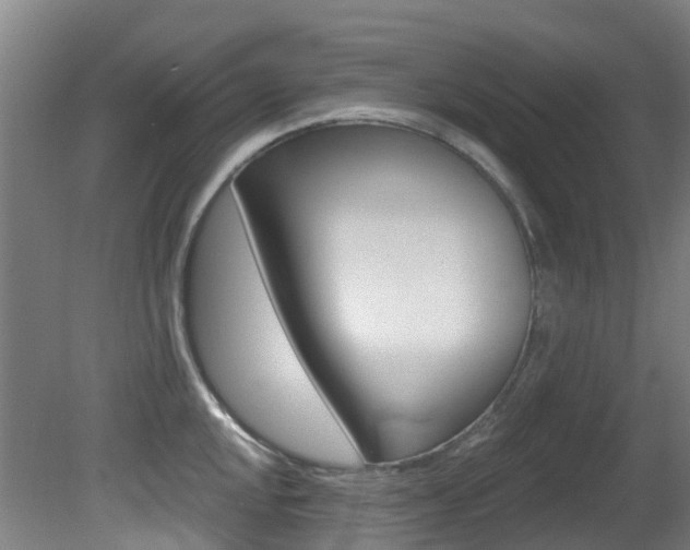 X0000081281048200701110929