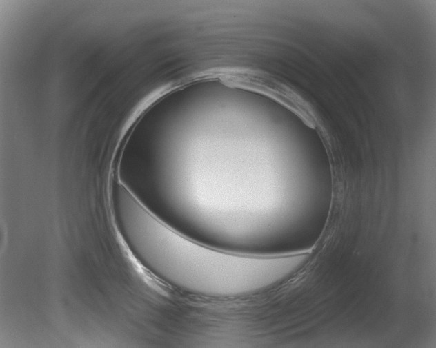 X0000081281050200701110929