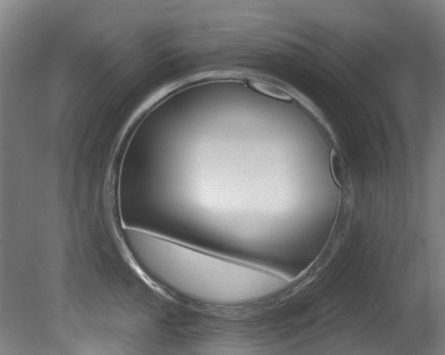 X0000081281053200701110929