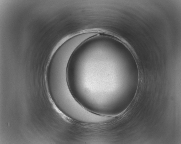 X0000081281054200701110929