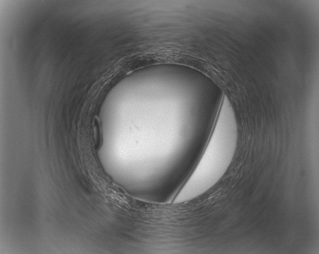 X0000081281057200701110928
