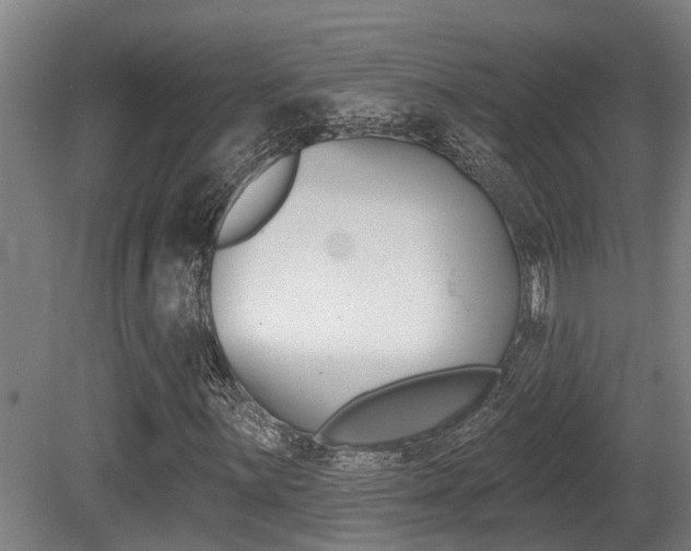 X0000081281059200701110928