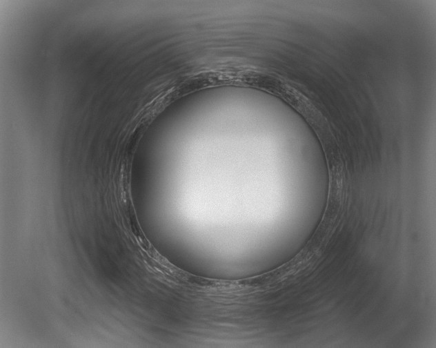 X0000081281060200701110928