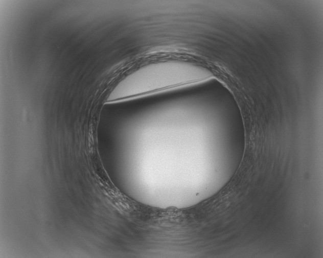X0000081281062200701110928