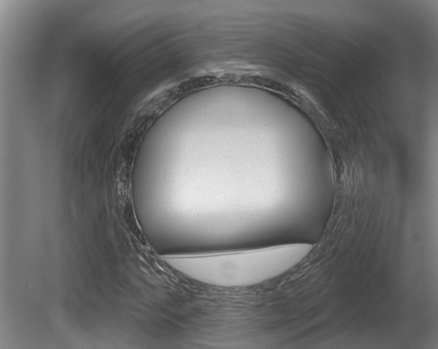 X0000081281063200701110928