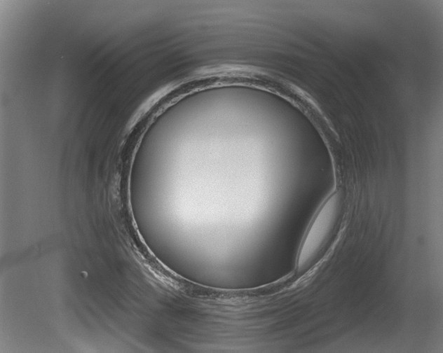 X0000081281066200701110928