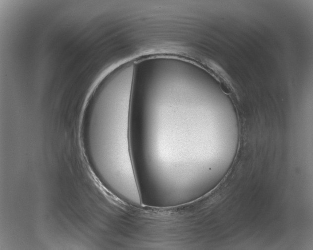 X0000081281072200701110928