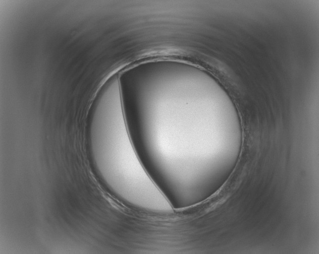 X0000081281073200701110928