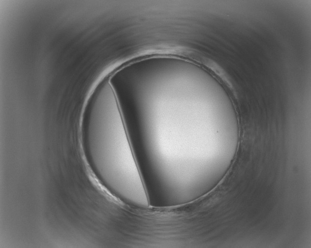 X0000081281080200701110928