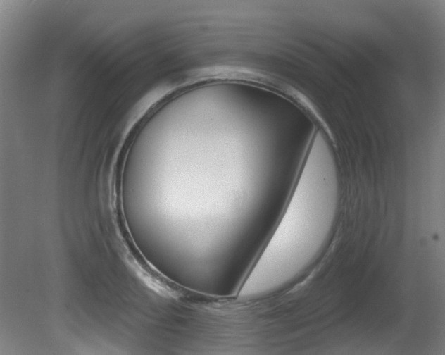 X0000081281082200701110928