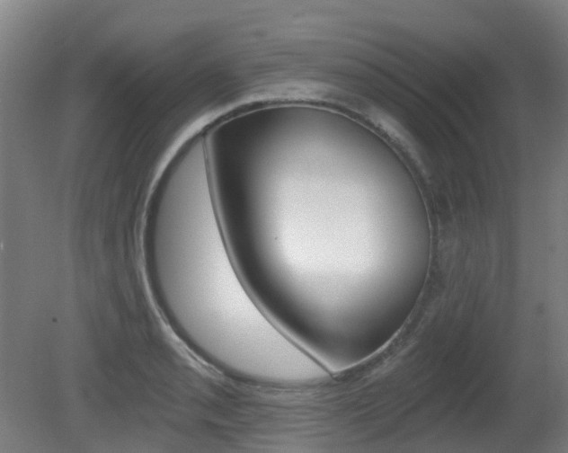 X0000081281085200701110928