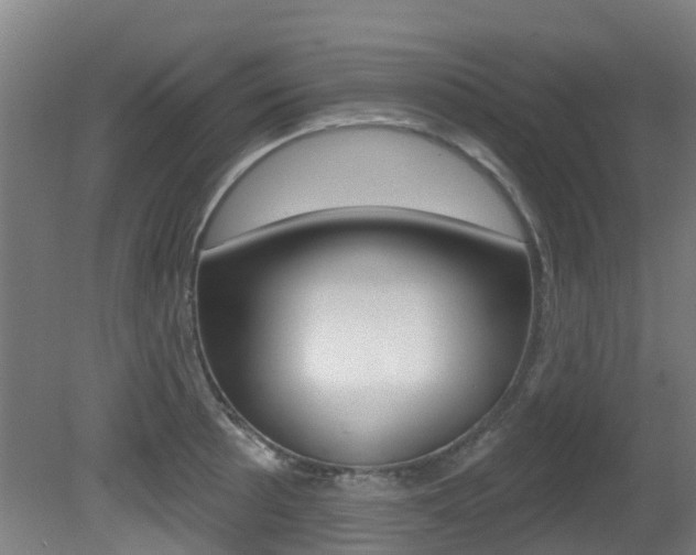 X0000081281089200701110927