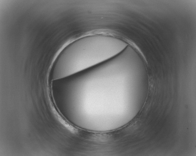 X0000081281091200701110927