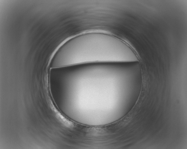 X0000081281092200701110927