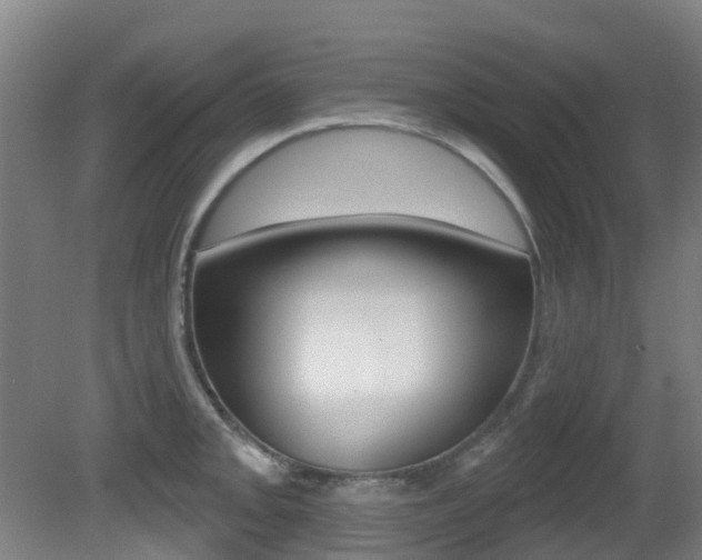 X0000081281093200701110927