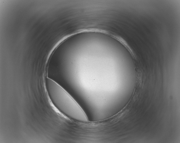 X0000081281100200701110927