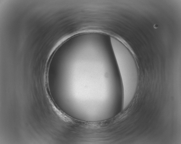 X0000081281101200701110927