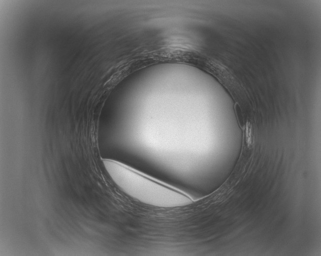 X0000081281107200701110926